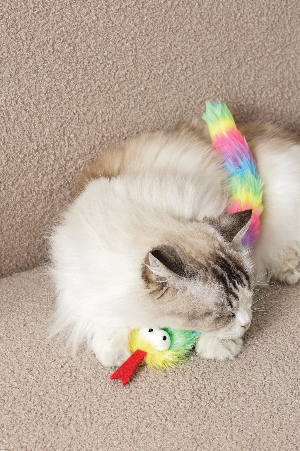 Fluffy catnip toy Zaz