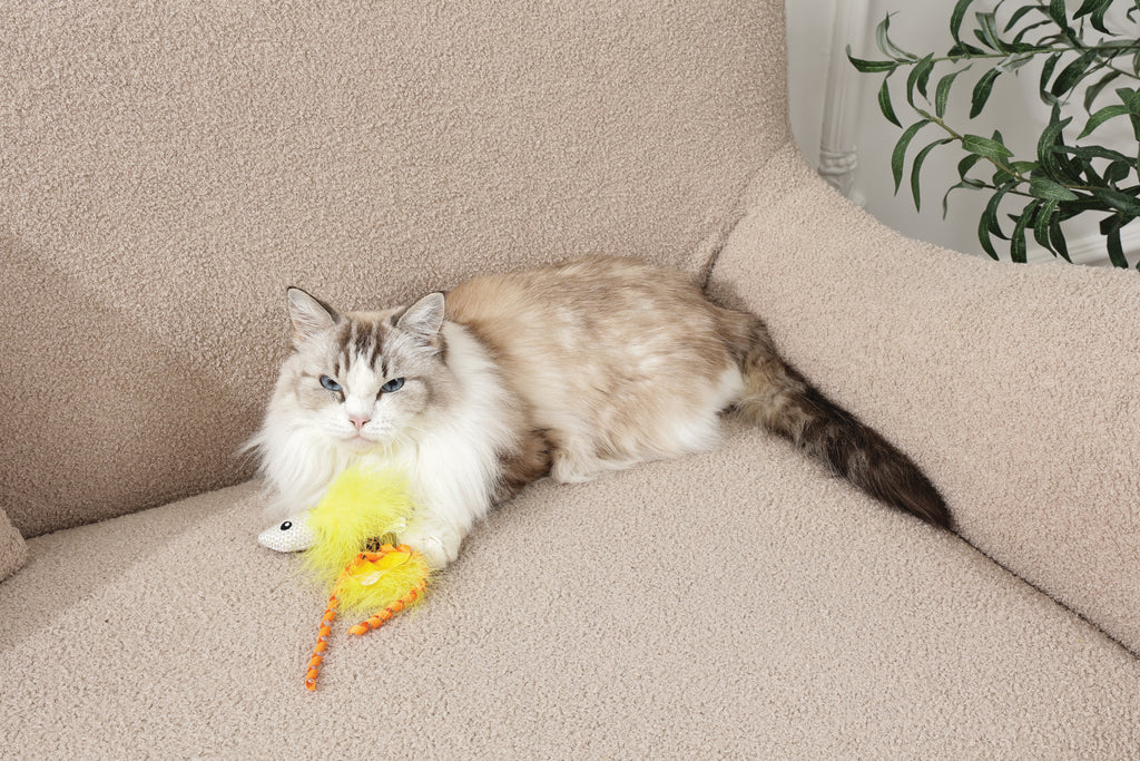 Plume catnip toy Yellow fish