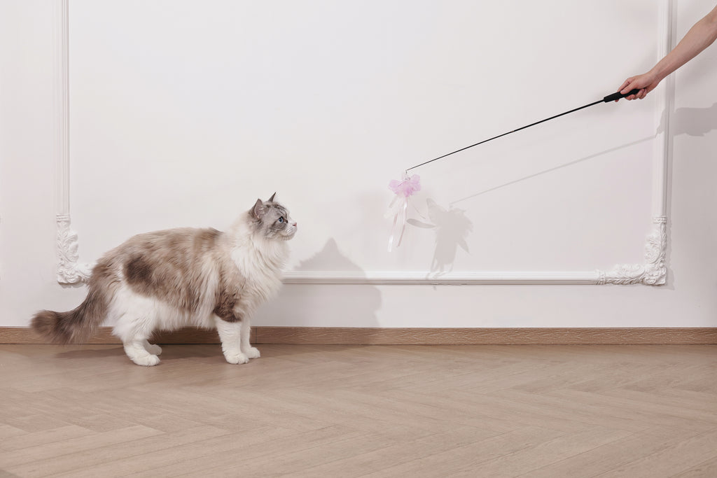 Moon cat Telescopic cat wand 2 section Comet Tail