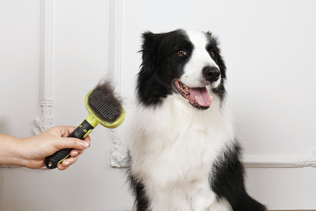CLICK and GROOM 1-click Cleaning Pin