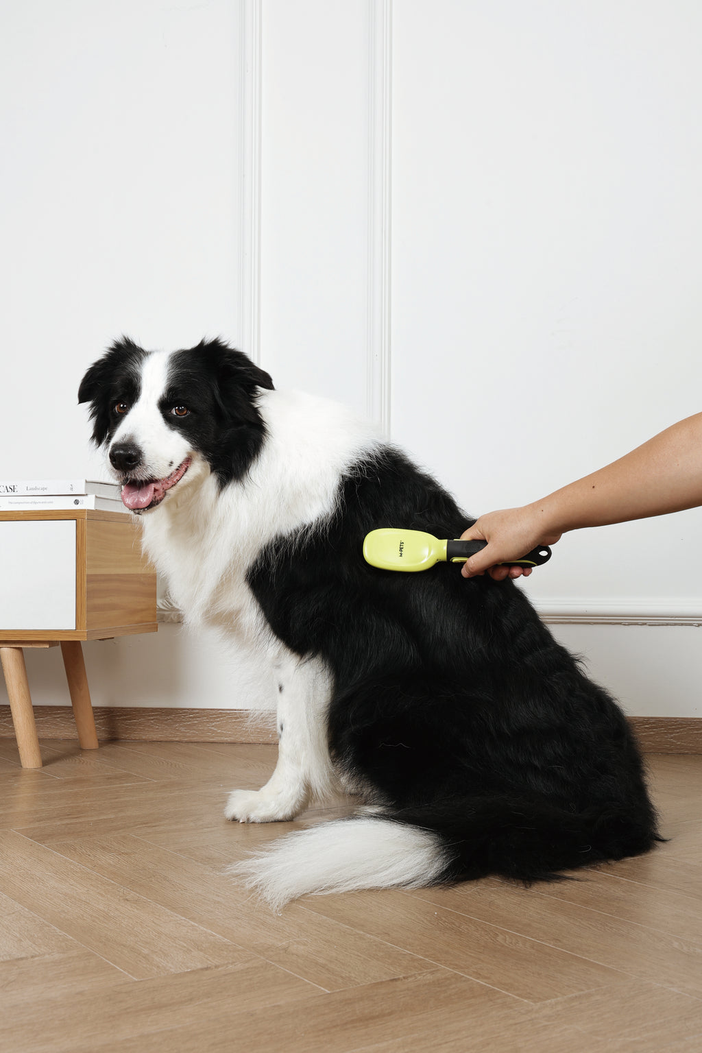 CLICK and GROOM Bristle Brush