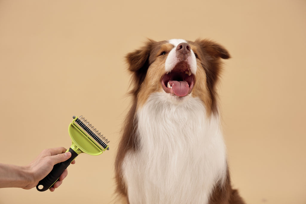 CLICK and GROOM Double-sided Dematting comb