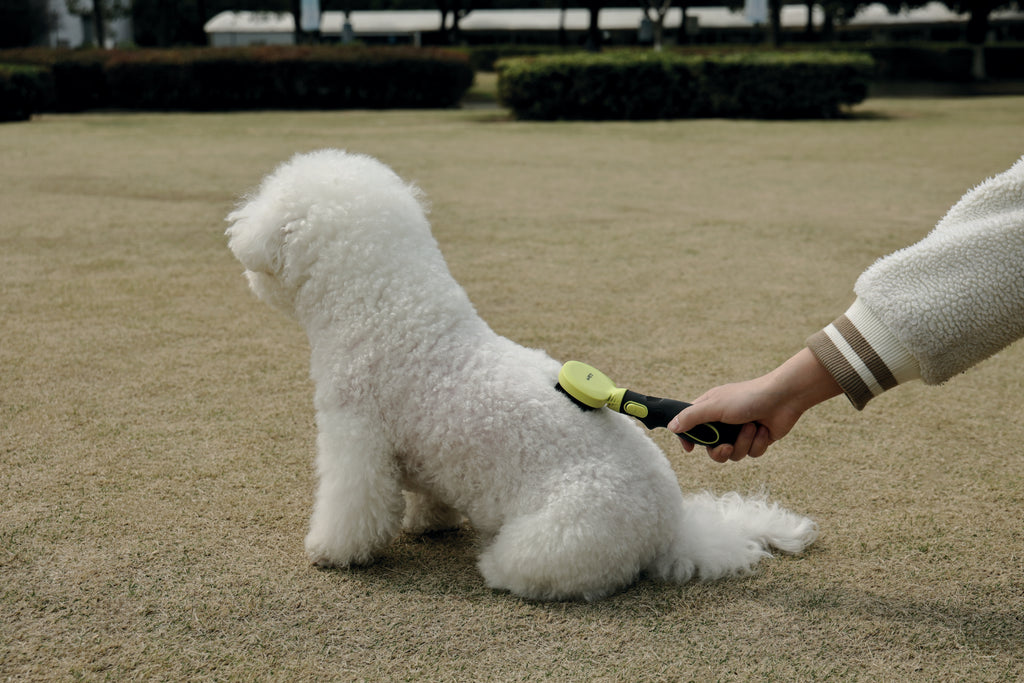 CLICK and GROOM Bristle Brush