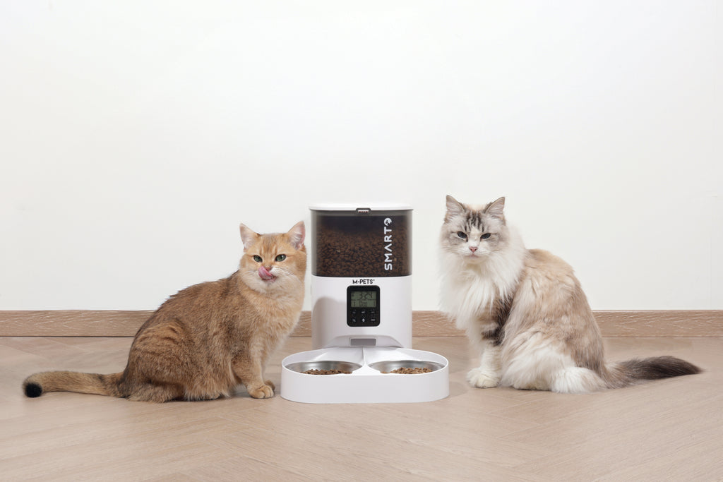SMARTO M700 4L Dispenser automatico di cibo