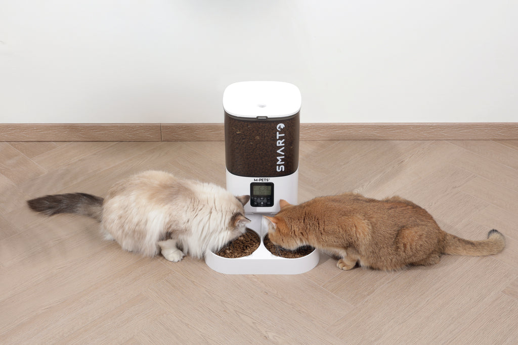 SMARTO M800 6L Distributore automatico di cibo