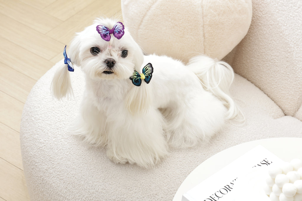 GLAM Accessori per capelli per animali elastico - Blu/Viola/Verde