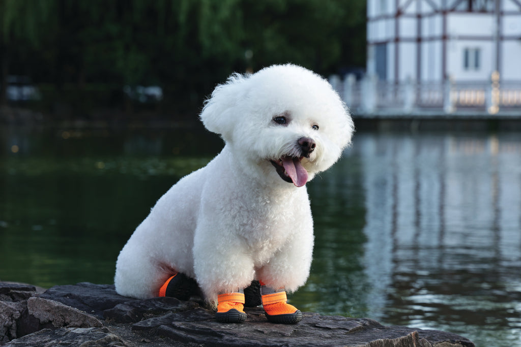 FLEXI SHOES Dog - Orange edition