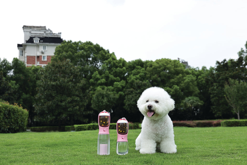 ON THE ROAD Dog water bottle 600 ml - 3 in 1 - Pink bloom