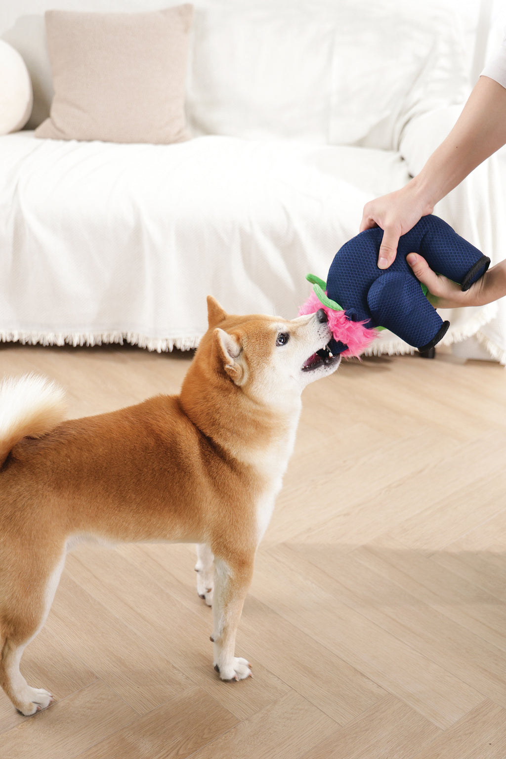 MEGA Giocattolo per cane Bufalo
