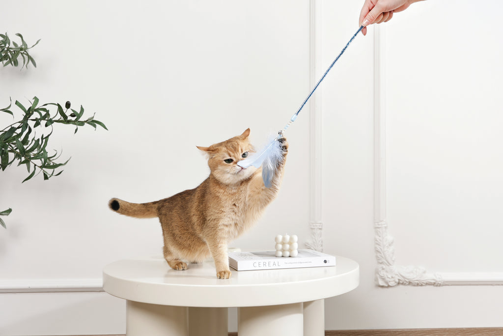 MoonCAT - bacchetta per gatti Piuma Galattica Rosa/Blu Argento e Bianco