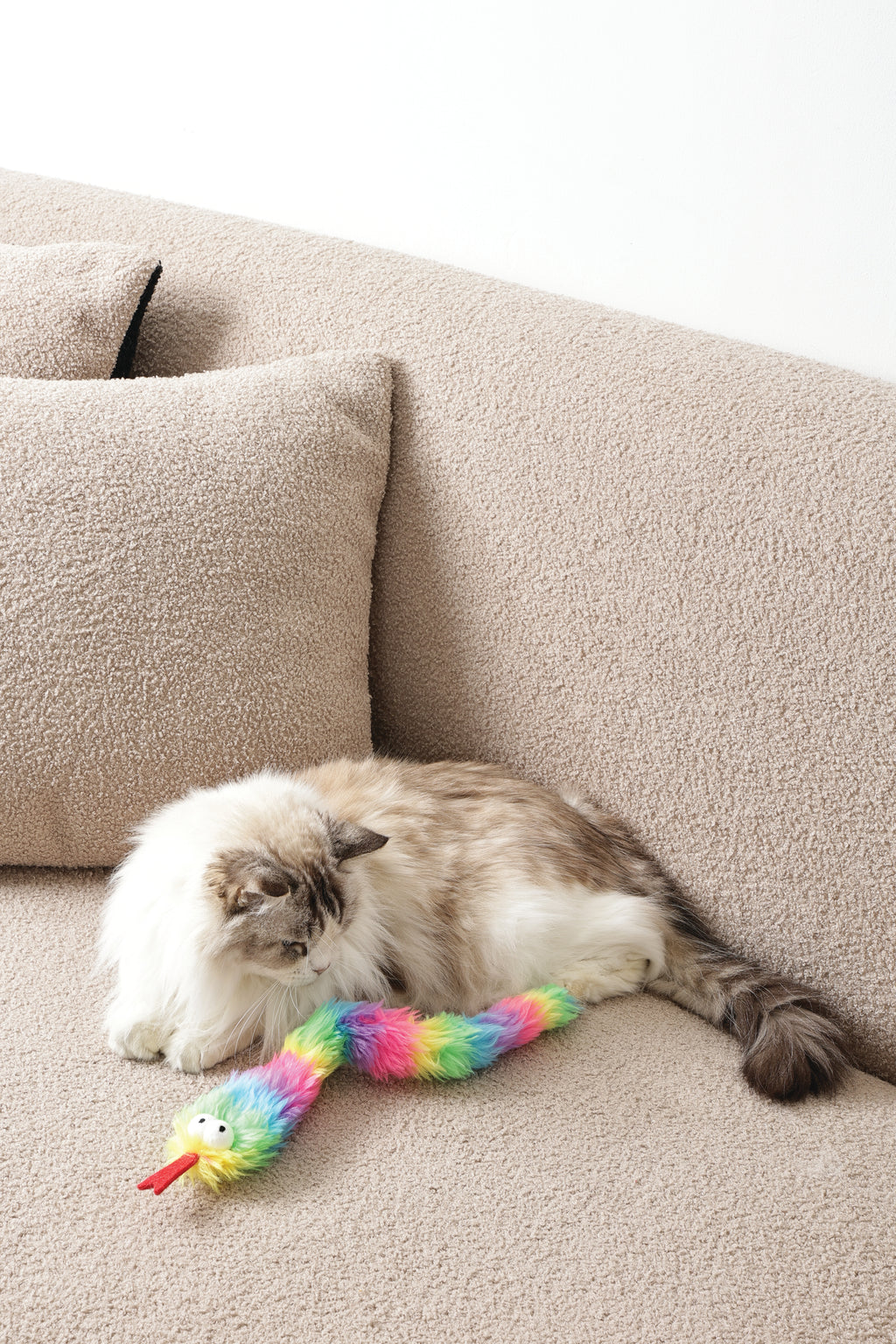 Fluffy catnip toy Zaz