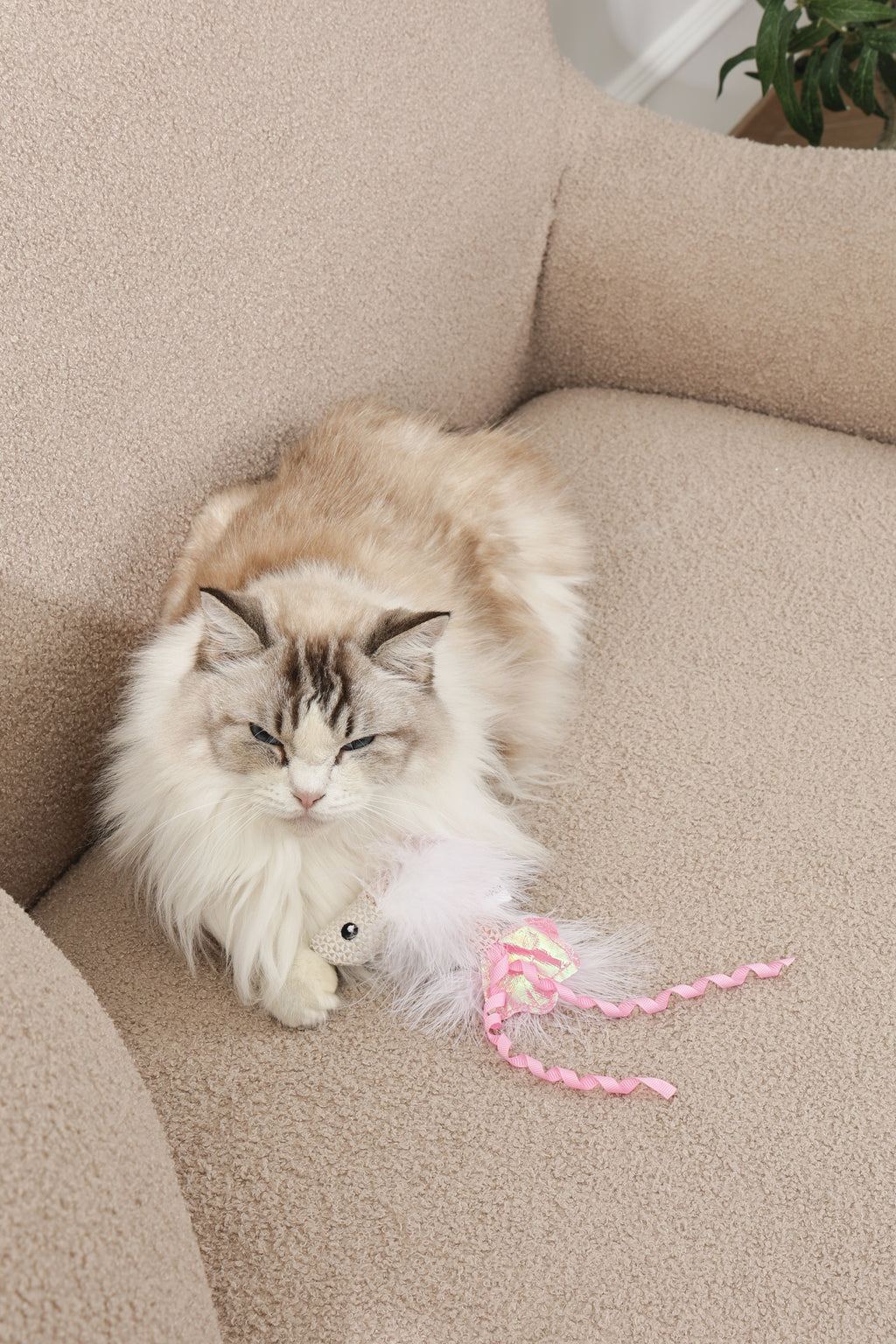 Plume catnip toy Pink fish