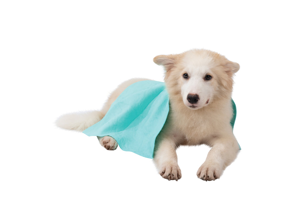 BATHTIME Quick-dry Towel for Cats and Dogs Green Bubble