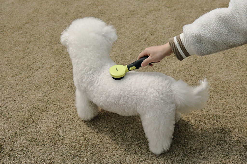 CLICK and GROOM Bristle Brush