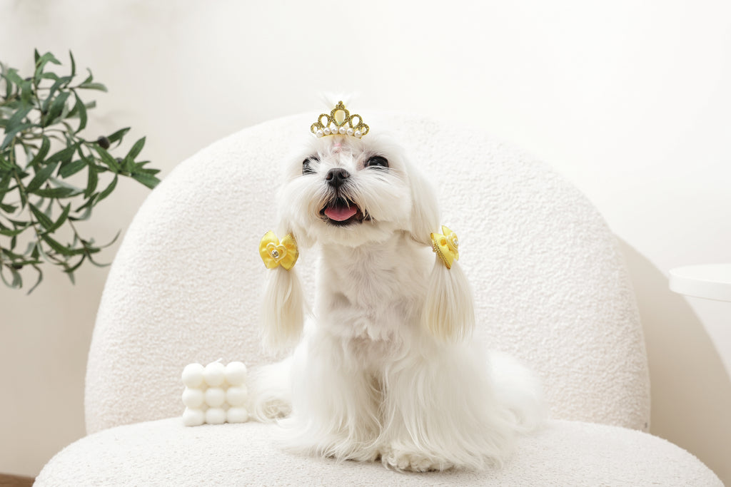 GLAM Accessori per capelli per animali clip e elastico - Giallo