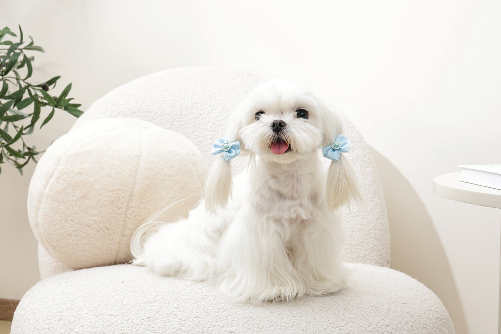 GLAM Accessori per capelli per animali elastico con perla - Blu