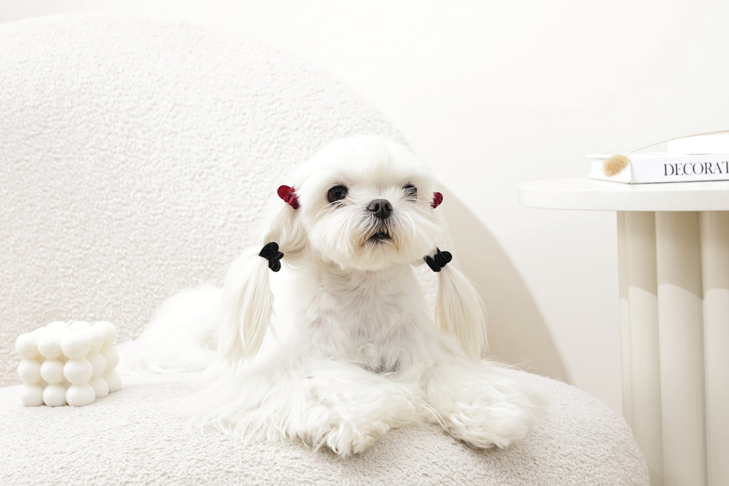 GLAM Accessori per capelli per animali clip a forma di cuore - Nero e Rosso