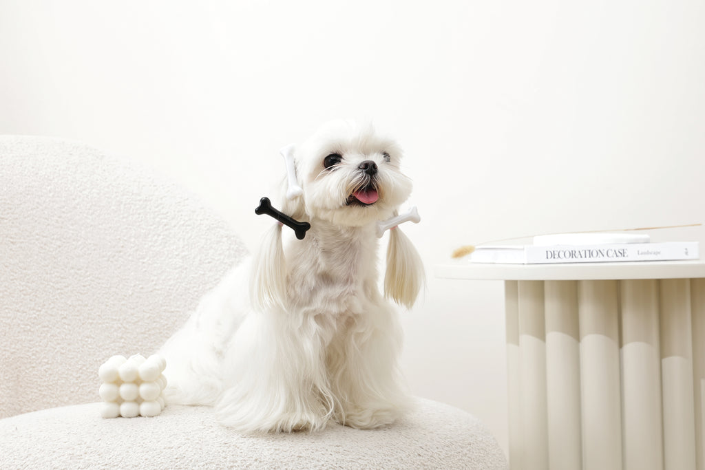 GLAM Accessori per capelli per animali clip a forma di osso - Nero e Bianco