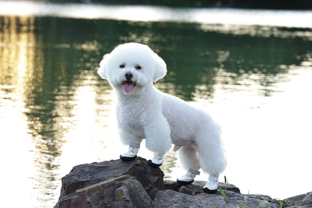 FLEXI SHOES Dog - White edition