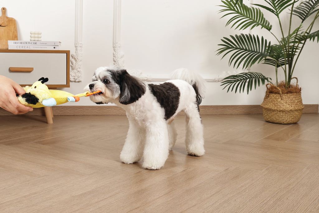 Slippers Dog toy Bee