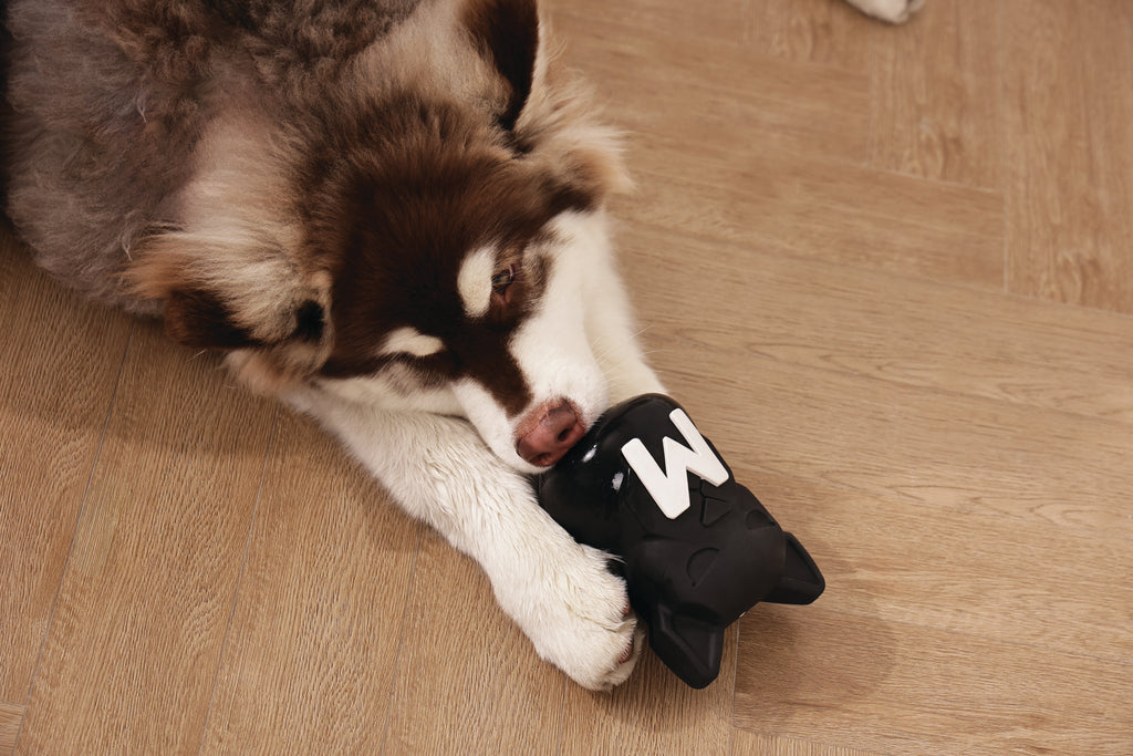 POWER CHEW Dog toy Jet