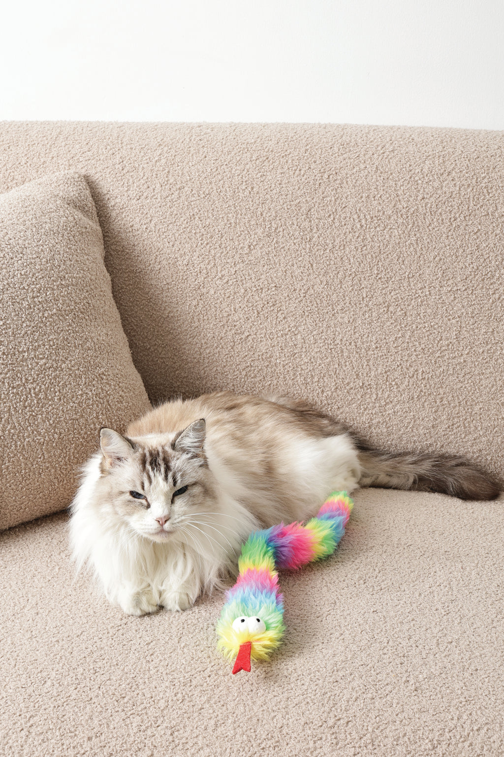 Fluffy catnip toy Zaz