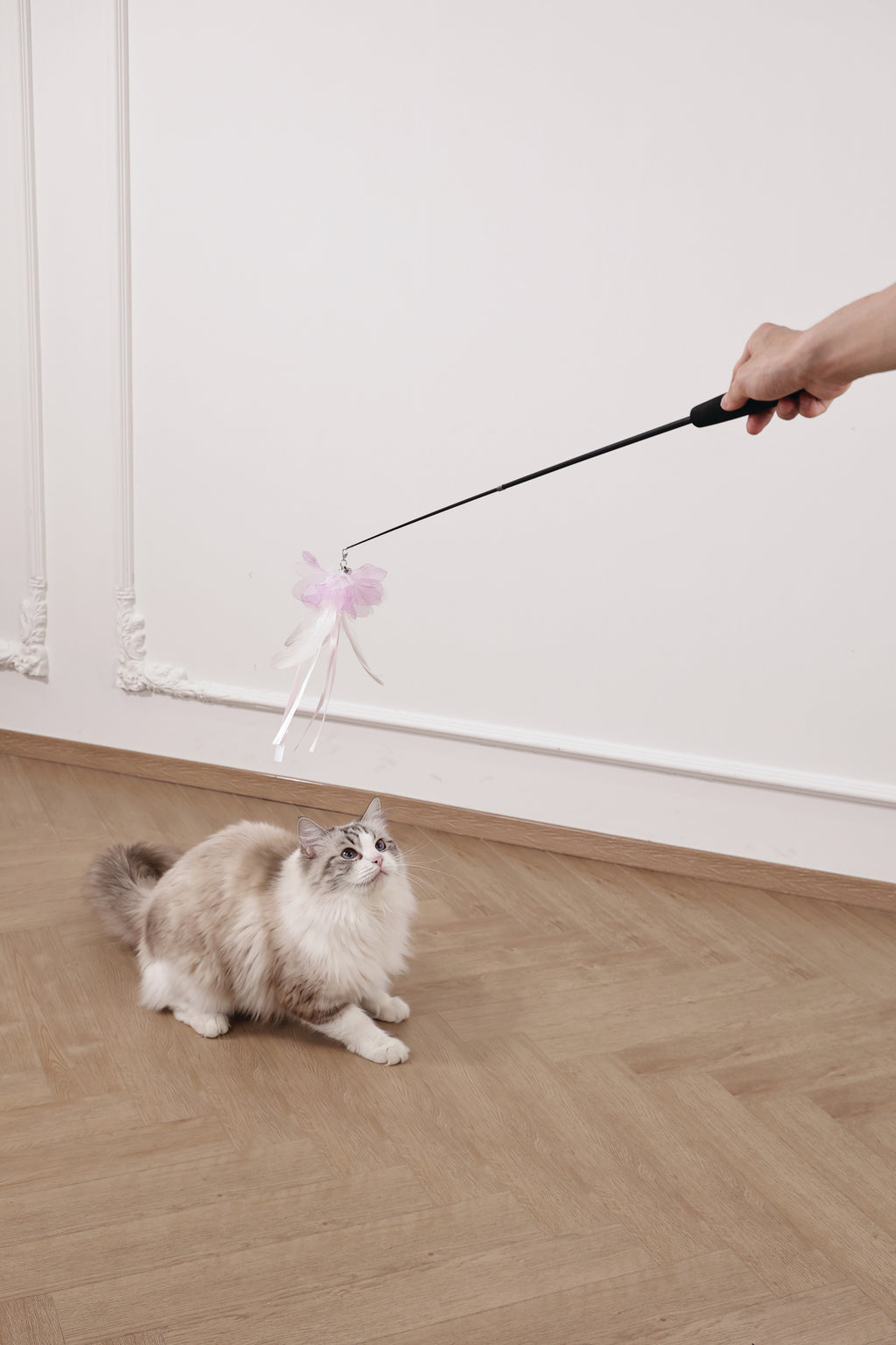 Moon cat Telescopic cat wand 2 section Comet Tail