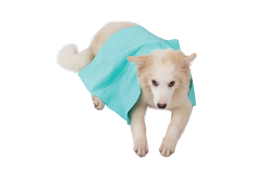 BATHTIME Quick-dry Towel for Cats and Dogs Green Bubble