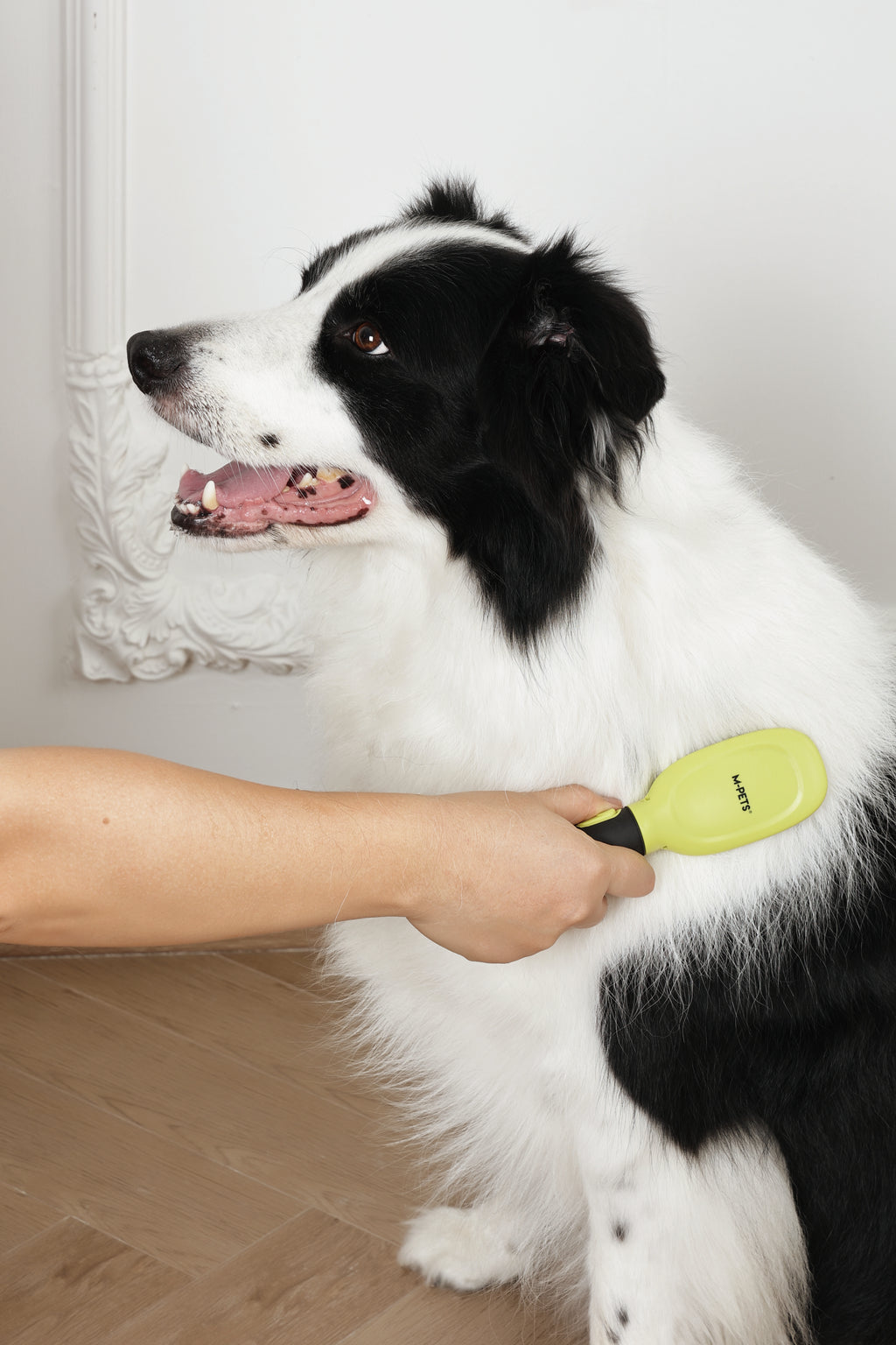 CLICK and GROOM Pin Brush