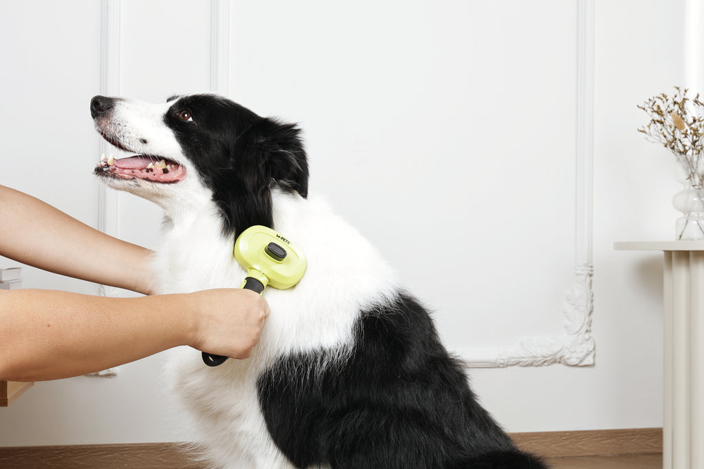CLICK and GROOM 1-click Cleaning Pin