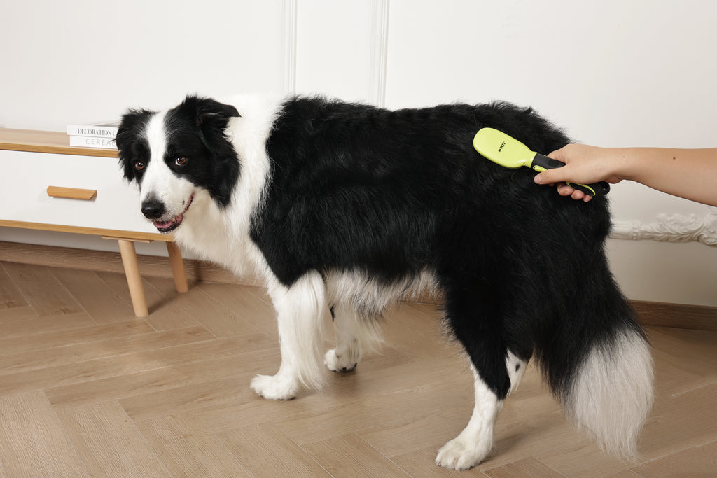 CLICK and GROOM Bristle Brush