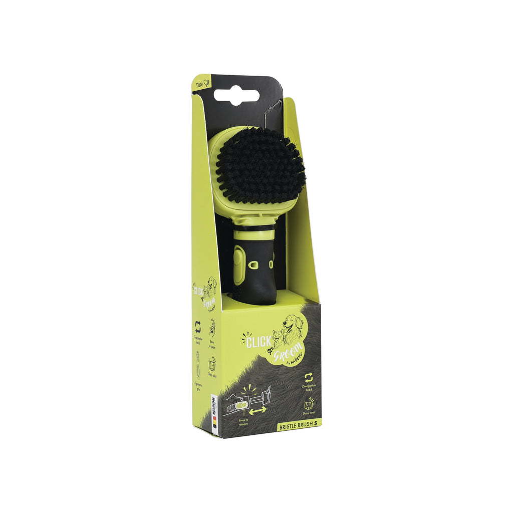 CLICK and GROOM Bristle Brush