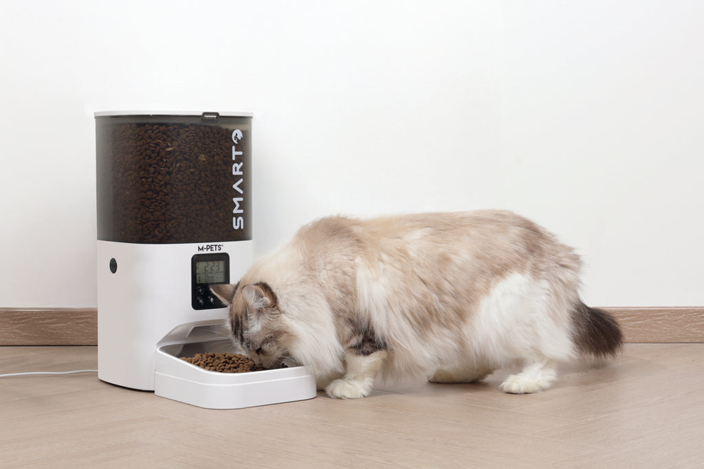 SMARTO M800 6L Distributore automatico di cibo