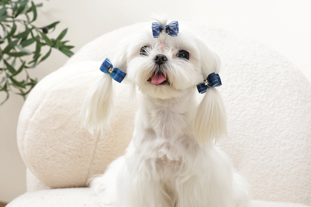 GLAM Accessori per capelli per animali elastico - Blu
