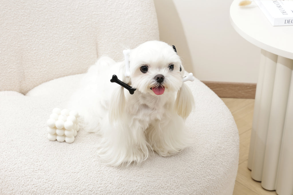 GLAM Accessori per capelli per animali clip a forma di osso - Nero e Bianco