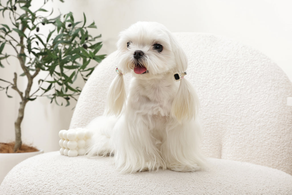 GLAM Accessori per capelli per animali clip a forma di diamante - Nero e Argento