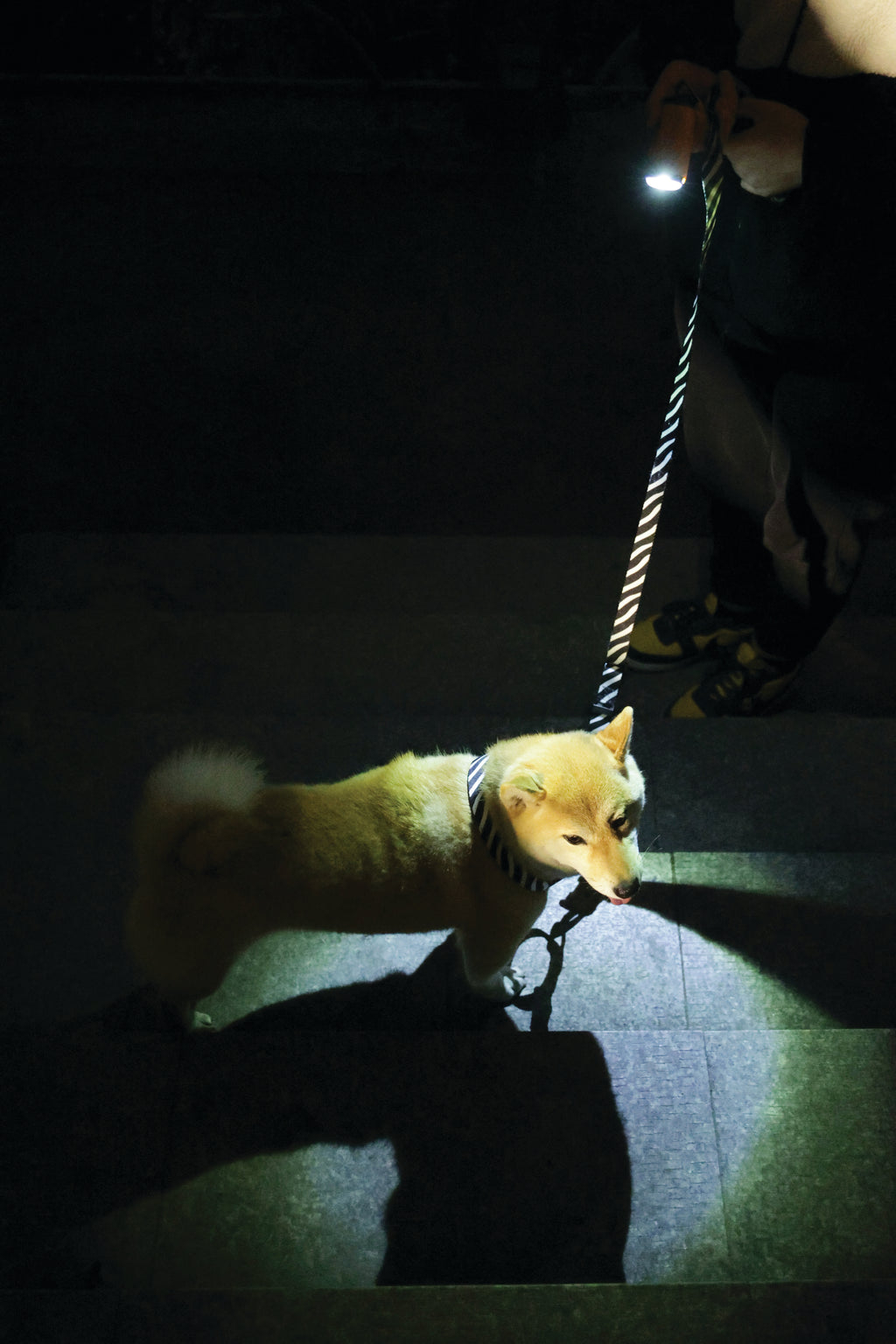 FLASH LED Torcia Cacca Arancione