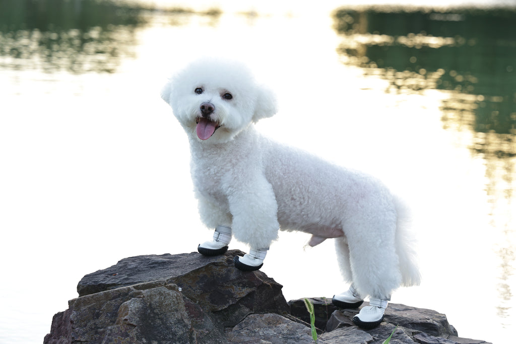 FLEXI SHOES Dog - White edition