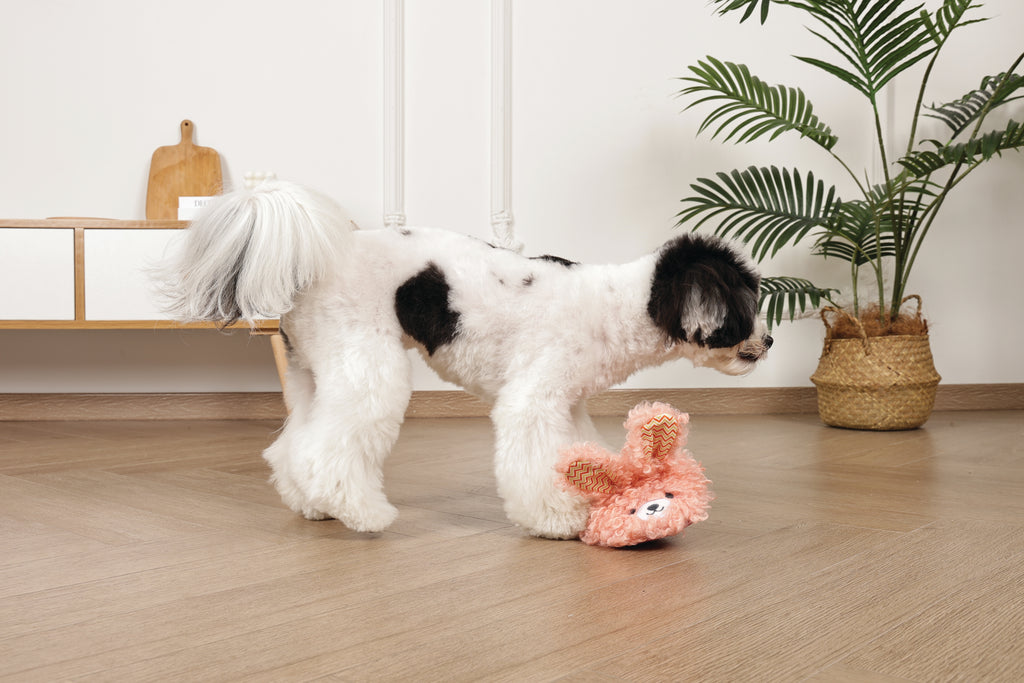 Slippers Dog toy Bunny
