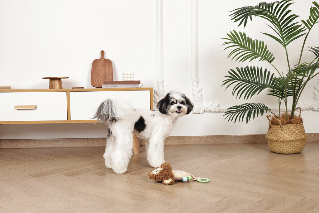 Slippers Dog toy Monkey