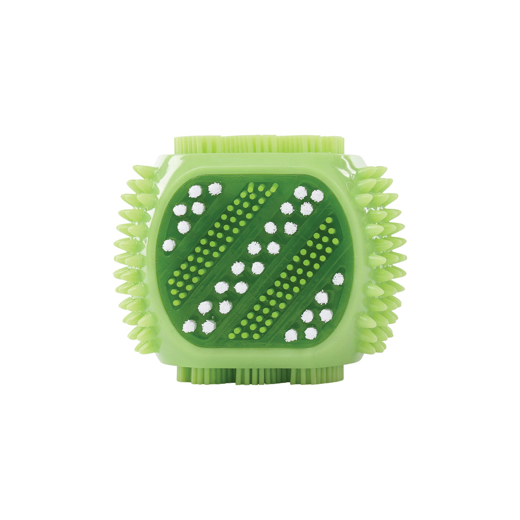 DENTAL Brush toy SQUEAKY CUBE