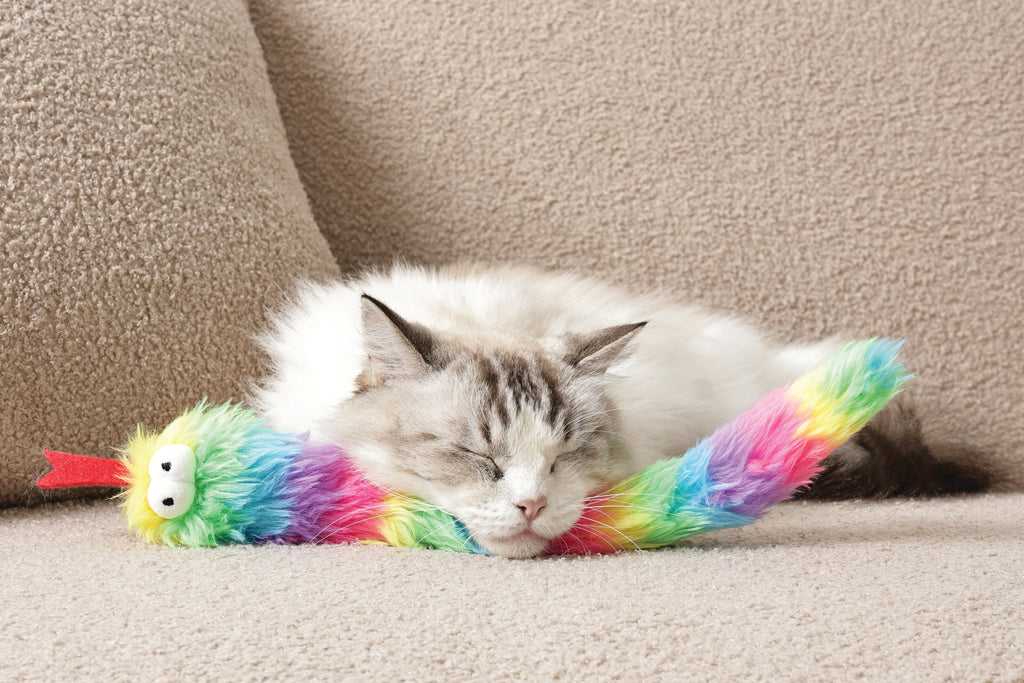 Fluffy catnip toy Zaz