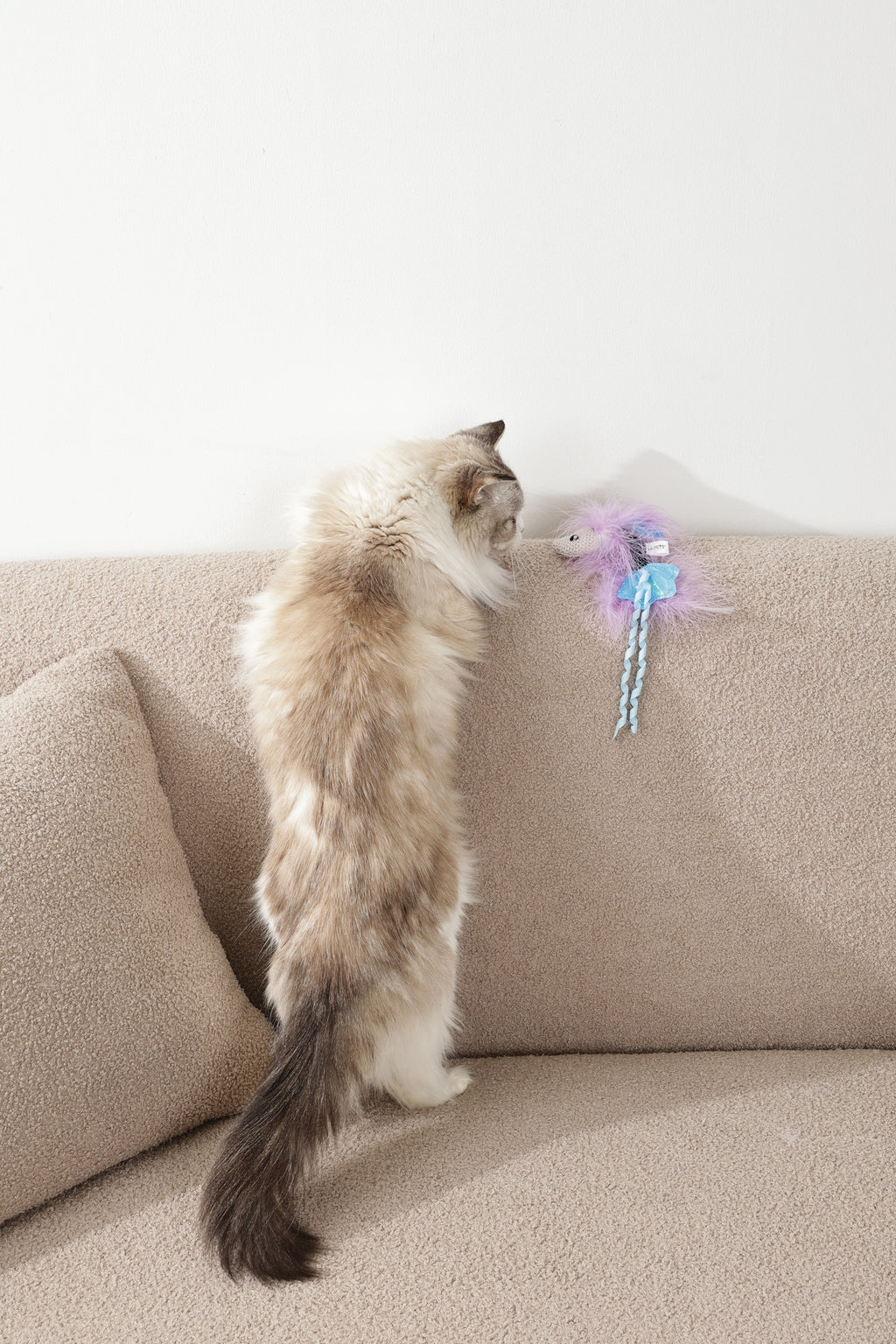 Plume catnip toy Blue fish