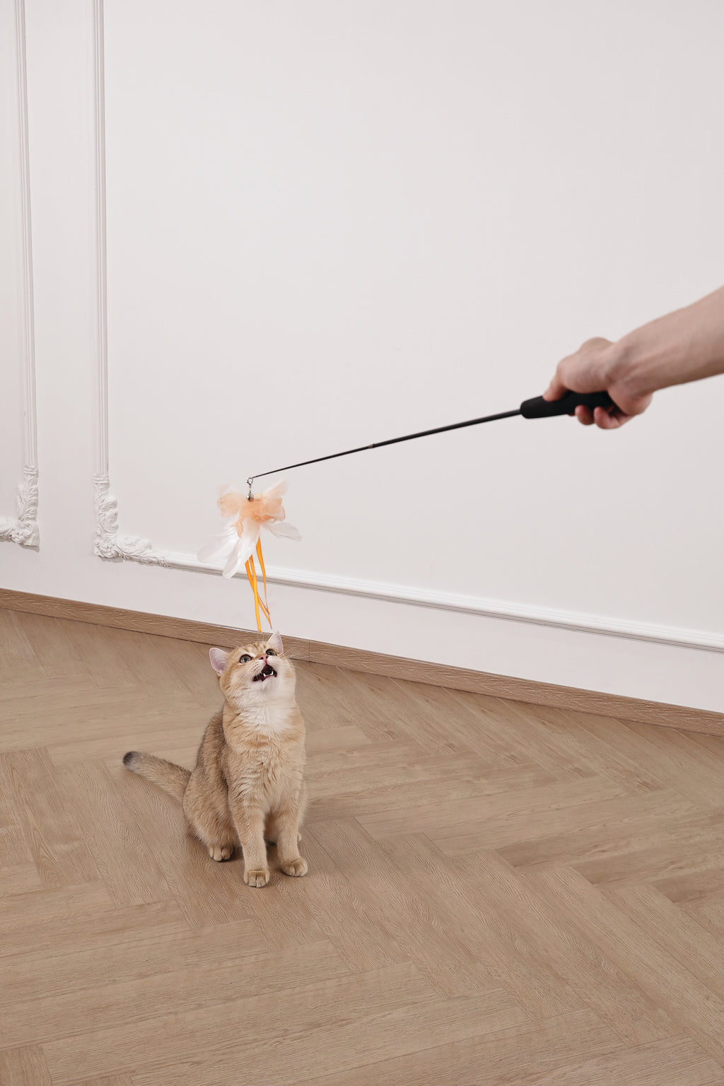 Moon cat Telescopic cat wand 2 section Comet Tail