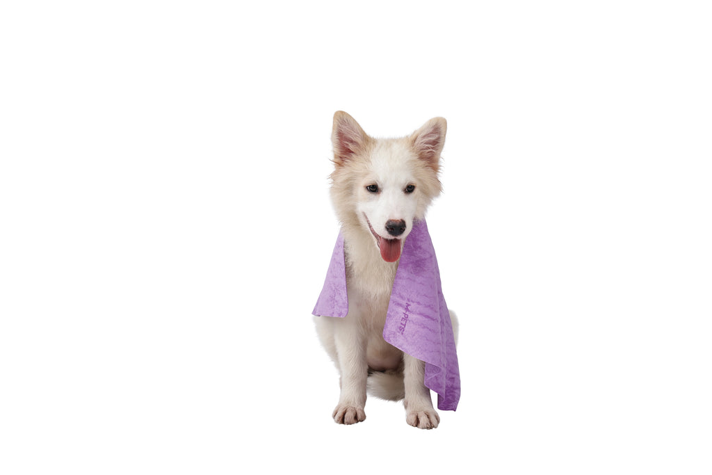 BATHTIME Quick-dry Towel for Cats and Dogs Purple Bubble