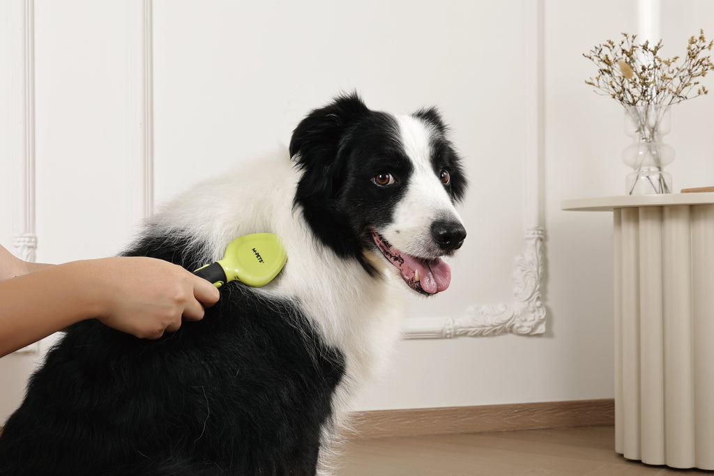 CLICK and GROOM Slicker Brush