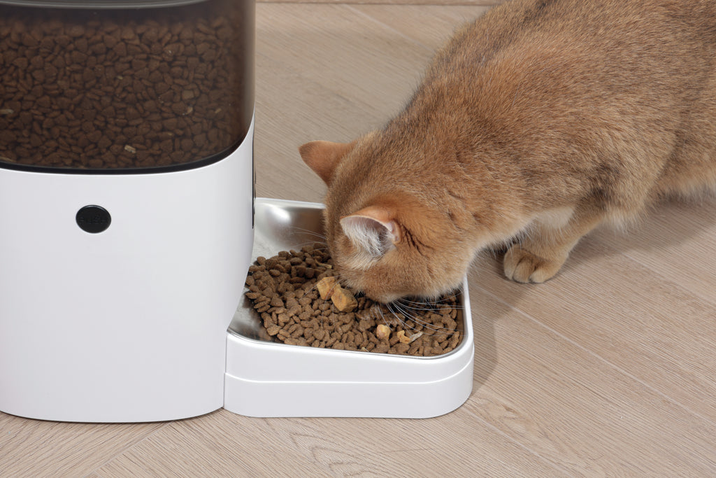 SMARTO M700 4L Dispenser automatico di cibo