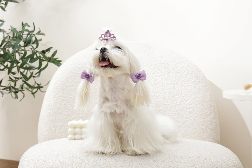 GLAM Accessori per capelli per animali clip e gomma - Viola