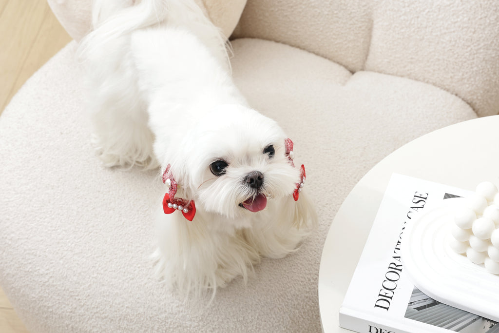 GLAM Accessori per capelli per animali elastico - Rosso