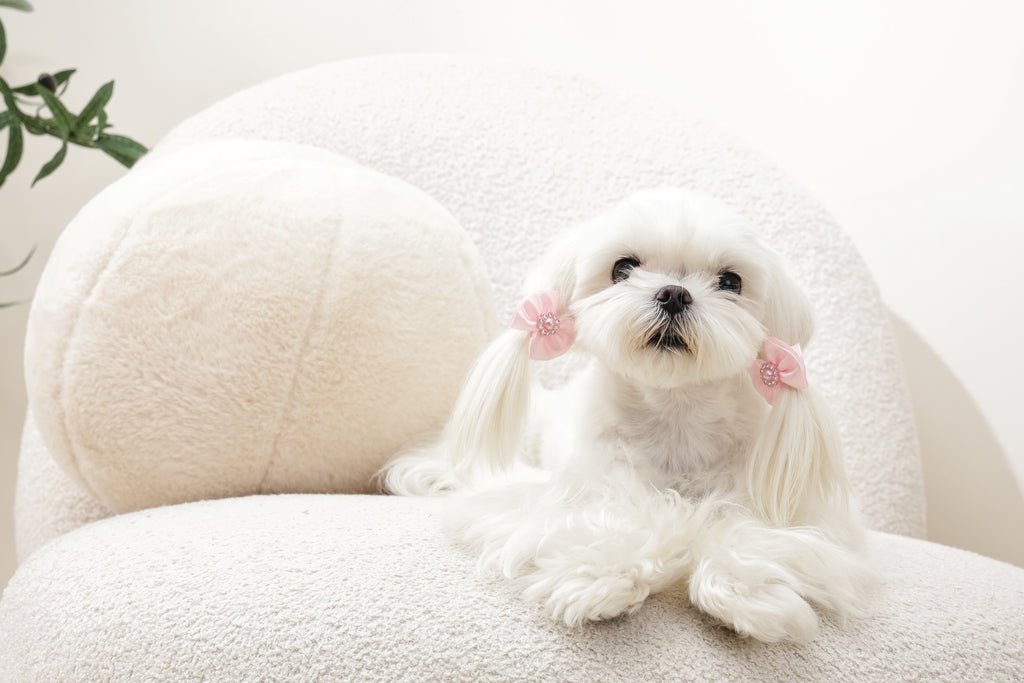 GLAM Accessori per capelli per animali elastico con perla - Rosa